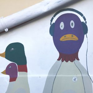 Dipinto murale dettaglio raffigurazione i Codoni oche selvatiche che ascoltano musica con le cuffie,laboratorio artistico-espressivo