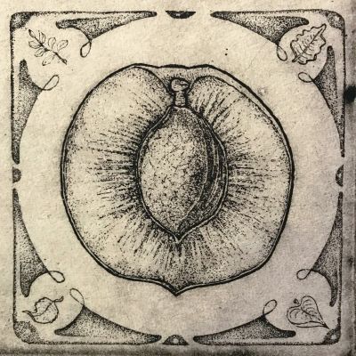 stampa calcografica, calcografia, acquaforte, frutta,kiwi,prugna,melone,albicocca