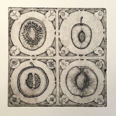 stampa calcografica, calcografia, acquaforte, frutta,kiwi,prugna,melone,albicocca