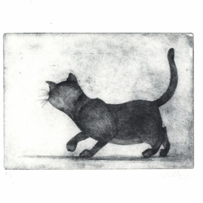 Incisone su lastra di plexiglass, stampa calcografica, calcografia, puntasecca su plexiglass, engraving, gatto,cat
