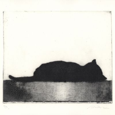 Incisone su lastra di fotopolimero, fotoincisione, engraving, photogravure,gatto che dorme, cat sleep