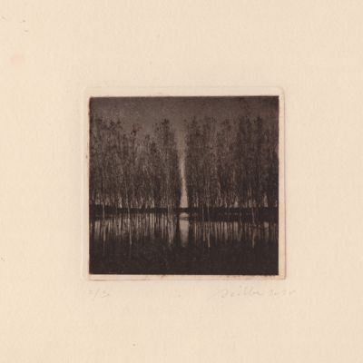 Fotoincisione stampata su carta Fabriano Rosaspina avorio. Pippeto delle golene del fiume Po durante la piena del 2015. Bosco, alberi