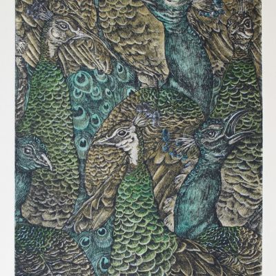 stampa calcografica, calcografia, acquaforte, pavoni, natura, animali
